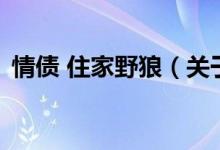 情債 住家野狼（關于情債 住家野狼的介紹）