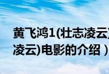 黃飛鴻1(壯志凌云)電影（關于黃飛鴻1(壯志凌云)電影的介紹）