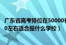 廣東省高考排位在50000有學(xué)校選擇嗎（廣東高考位次60000左右適合報什么學(xué)校）