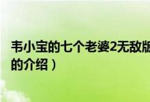 韋小寶的七個老婆2無敵版（關(guān)于韋小寶的七個老婆2無敵版的介紹）