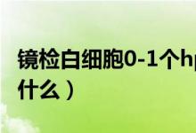 鏡檢白細(xì)胞0-1個hp什么意思（鏡檢白細(xì)胞是什么）