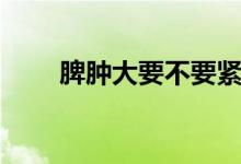 脾腫大要不要緊（脾腫大要不要緊）