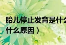 胎兒停止發(fā)育是什么導致的（胎兒停止發(fā)育是什么原因）