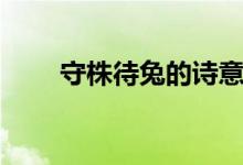 守株待兔的詩意(守株待兔的啟示)