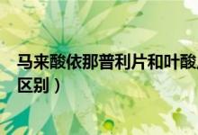 馬來酸依那普利片和葉酸片（馬來酸依那普利片和葉酸片的區(qū)別）