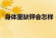 身體里缺鉀會怎樣（身體里缺鉀會怎么樣）