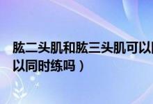 肱二頭肌和肱三頭肌可以同時練嗎（肱二頭肌和肱三頭肌可以同時練嗎）