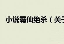 小說霸仙絕殺（關于小說霸仙絕殺的介紹）