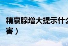 精囊腺增大提示什么?。ň蚁僭龃笥惺裁次：Γ?class=