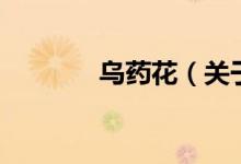 烏藥花（關于烏藥花的介紹）