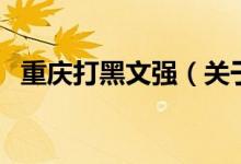 重慶打黑文強（關于重慶打黑文強的介紹）
