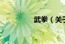 武拳（關(guān)于武拳的介紹）