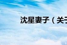 沈星妻子（關于沈星妻子的介紹）