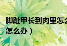 腳趾甲長到肉里怎么辦矯正（腳趾甲長到肉里怎么辦）