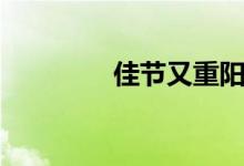 佳節(jié)又重陽(佳節(jié)又重陽)