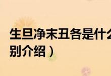 生旦凈末丑各是什么意思（生旦凈末丑意思分別介紹）