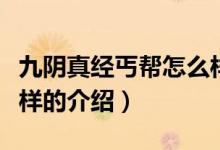 九陰真經(jīng)丐幫怎么樣（關(guān)于九陰真經(jīng)丐幫怎么樣的介紹）