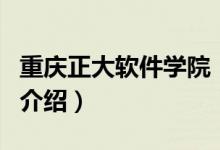 重慶正大軟件學院（關(guān)于重慶正大軟件學院的介紹）