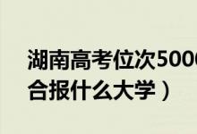 湖南高考位次50000左右推薦什么學校（適合報什么大學）