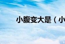 小腹變大是（小腹變大有幾種可能）