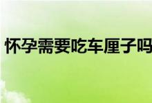 懷孕需要吃車厘子嗎（懷孕可以吃車厘子嗎）