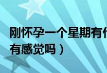 剛懷孕一個星期有什么感覺嗎（懷孕一個星期有感覺嗎）