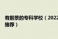 有前景的?？茖W(xué)校（2022業(yè)界內(nèi)口碑非常好的5所?？茖W(xué)校推薦）