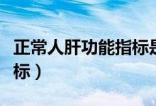 正常人肝功能指標是多少（正常人的肝功能指標）