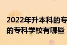 2022年升本科的?？茖W校（2022比本科還牛的?？茖W校有哪些）