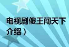 電視劇傻王闖天下（關(guān)于電視劇傻王闖天下的介紹）