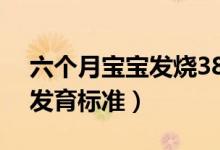 六個月寶寶發(fā)燒38.5度怎么辦（六個月寶寶發(fā)育標(biāo)準(zhǔn)）