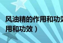 風油精的作用和功效能治腳氣嗎（風油精的作用和功效）