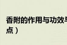 香附的作用與功效與禁忌（香附的功效與作用點(diǎn)）
