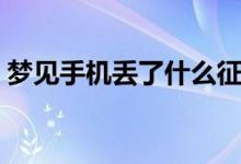 夢(mèng)見(jiàn)手機(jī)丟了什么征兆（夢(mèng)見(jiàn)手機(jī)丟了解釋）