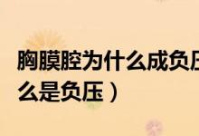 胸膜腔為什么成負壓有什么作用（胸膜腔為什么是負壓）