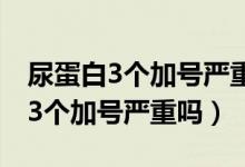尿蛋白3個加號嚴重嗎需要吃什么藥（尿蛋白3個加號嚴重嗎）