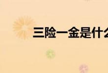 三險(xiǎn)一金是什么（三險(xiǎn)一金解釋）