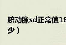 臍動脈sd正常值16周（臍動脈sd正常值是多少）