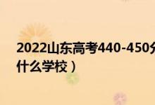 2022山東高考440-450分能報什么大學(xué)（物理歷史類推薦什么學(xué)校）