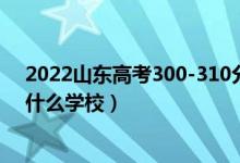 2022山東高考300-310分能報(bào)什么大學(xué)（物理歷史類(lèi)推薦什么學(xué)校）