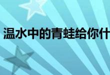 溫水中的青蛙給你什么啟示（溫水中的青蛙）
