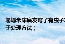 塌塌米床底發(fā)霉了有蟲(chóng)子怎么處理（塌塌米床底發(fā)霉了有蟲(chóng)子處理方法）