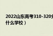 2022山東高考310-320分能報(bào)什么大學(xué)（物理歷史類(lèi)推薦什么學(xué)校）