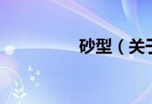 砂型（關于砂型的介紹）