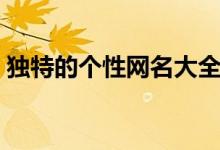 獨(dú)特的個(gè)性網(wǎng)名大全（獨(dú)特的個(gè)性網(wǎng)名精選）