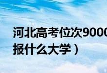 河北高考位次9000左右推薦什么學(xué)校（適合報什么大學(xué)）