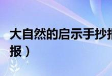 大自然的啟示手抄報(bào)資料（大自然的啟示手抄報(bào)）
