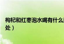 枸杞和紅棗泡水喝有什么禁忌（枸杞和紅棗泡水喝有什么好處）