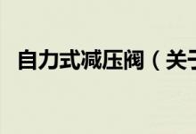 自力式減壓閥（關(guān)于自力式減壓閥的介紹）