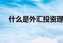 什么是外匯投資理財（什么是外陰瘙癢）